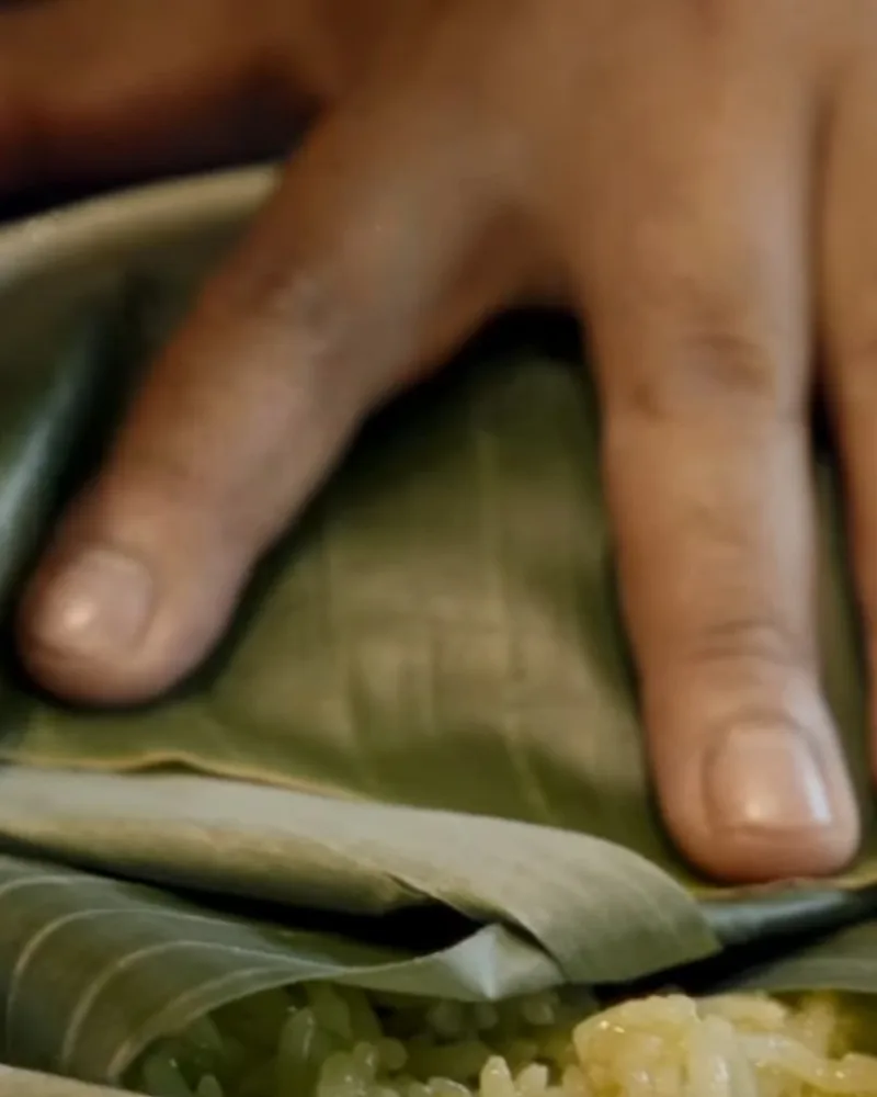 A hand pressing a banana leaf down over glutinous rice packed into a bamboo tube, closing it to ferment