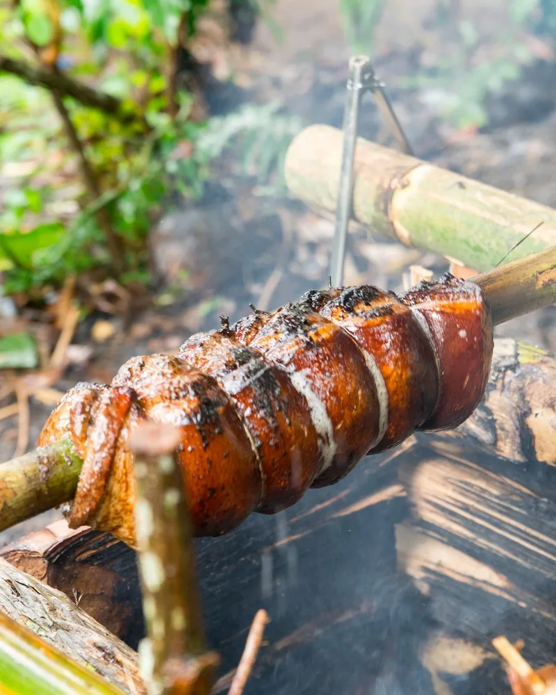 A spit-roast pig turning over coals in the jungle, bamboo poles and green undergrowth behind