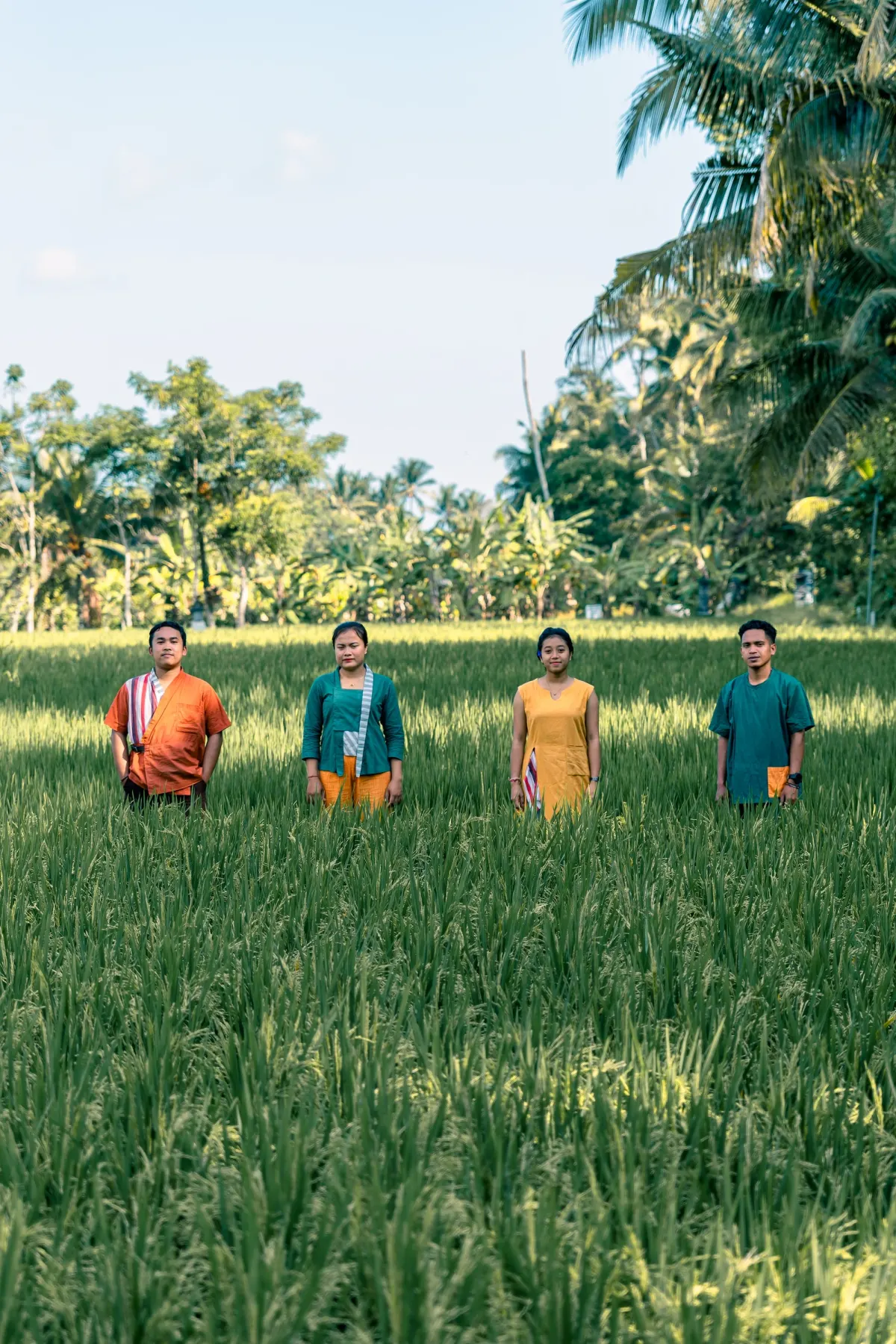 Four of the Nusantara team standing out in the rice fields, palms behind them